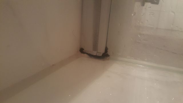 Bild zum BAU-Forumsbeitrag: kann Bad Silikon nach bei angeblich schlechter Lüftung brüchig werden? im Forum Sanitär, Bad, Dusche, WC