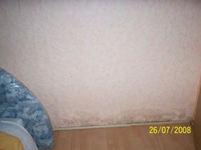 BAU.DE / BAU-Forum: 1. Bild zu Antwort "Update: Nasse Wand &ndash; Bilder & Infos zu Regen/Unwettersch&auml;den" auf die Frage "Nasse Innenwand Ursache unklar: Was tun bei Feuchtigkeit, Schimmel & Wasserschaden?" im BAU-Forum "Modernisierung / Sanierung / Bausch&auml;den"