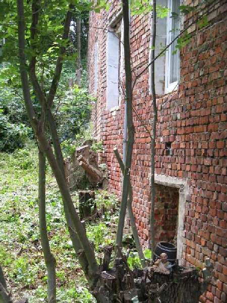 BAU.DE / BAU-Forum: 1. Bild zu Frage "Bestandschutz verwirkt trotz Druck vom Anwalt? Grenzwand, Baulast & Nachbarrecht in Thüringen" im BAU-Forum "Modernisierung / Sanierung / Bauschäden" BAU.DE / BAU-Forum: 1. Bild zu Frage "Bestandschutz verwirkt trotz Druck vom Anwalt? Grenzwand, Baulast & Nachbarrecht in Thüringen" im BAU-Forum "Modernisierung / Sanierung / Bauschäden"