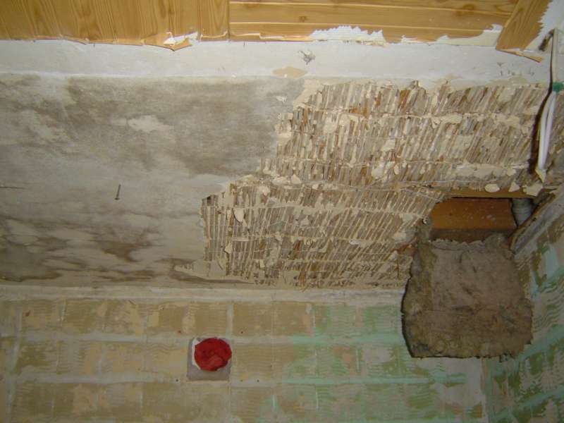 BAU.DE / BAU-Forum: 1. Bild zu Frage "Deckenaufbau im Bad erneuern: Ursachen f&uuml;r Durchh&auml;ngen, Aufbau-Optionen & Kosten?" im BAU-Forum "Modernisierung / Sanierung / Bausch&auml;den"