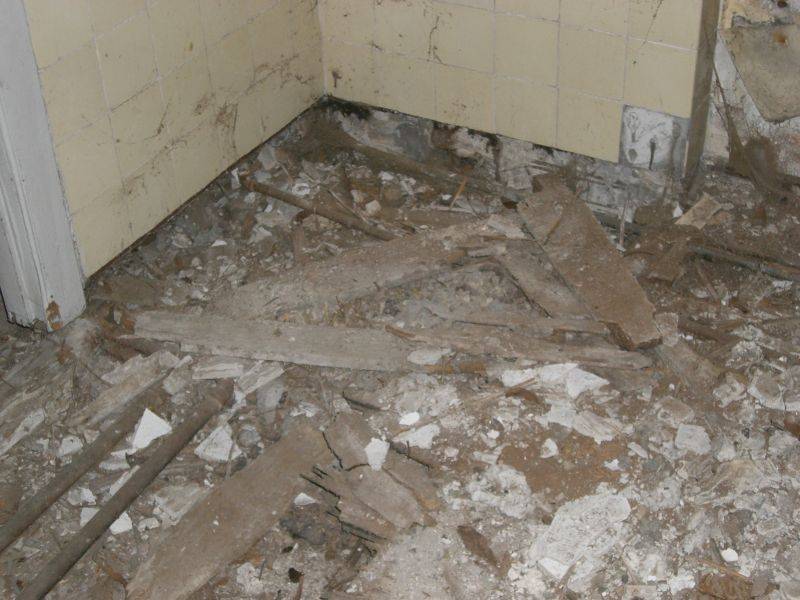 BAU.DE / BAU-Forum: 1. Bild zu Frage "Hausschwamm im Altbau erkennen? Ursachen, Risiken & Sanierungskosten im Überblick" im BAU-Forum "Modernisierung / Sanierung / Bauschäden" BAU.DE / BAU-Forum: 1. Bild zu Frage "Hausschwamm im Altbau erkennen? Ursachen, Risiken & Sanierungskosten im Überblick" im BAU-Forum "Modernisierung / Sanierung / Bauschäden"