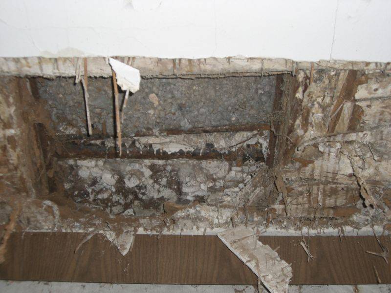 BAU.DE / BAU-Forum: 2. Bild zu Frage "Hausschwamm im Altbau erkennen? Ursachen, Risiken & Sanierungskosten im Überblick" im BAU-Forum "Modernisierung / Sanierung / Bauschäden" BAU.DE / BAU-Forum: 2. Bild zu Frage "Hausschwamm im Altbau erkennen? Ursachen, Risiken & Sanierungskosten im Überblick" im BAU-Forum "Modernisierung / Sanierung / Bauschäden"