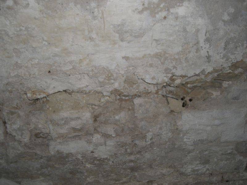 BAU.DE / BAU-Forum: 5. Bild zu Frage "Hausschwamm im Altbau erkennen? Ursachen, Risiken & Sanierungskosten im Überblick" im BAU-Forum "Modernisierung / Sanierung / Bauschäden" BAU.DE / BAU-Forum: 5. Bild zu Frage "Hausschwamm im Altbau erkennen? Ursachen, Risiken & Sanierungskosten im Überblick" im BAU-Forum "Modernisierung / Sanierung / Bauschäden"