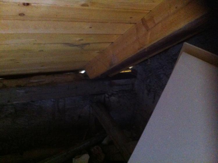 Bild zum BAU-Forumsbeitrag: Dach liegt nicht ganz auf Mauer auf im Forum Modernisierung / Sanierung / Bauschäden