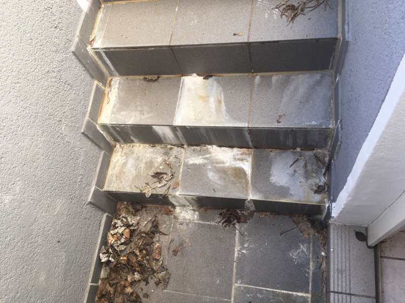 BAU.DE / BAU-Forum: 2. Bild zu Frage "Feuchtigkeitsschaden Kelleraußentreppe" im BAU-Forum "Modernisierung / Sanierung / Bauschäden"