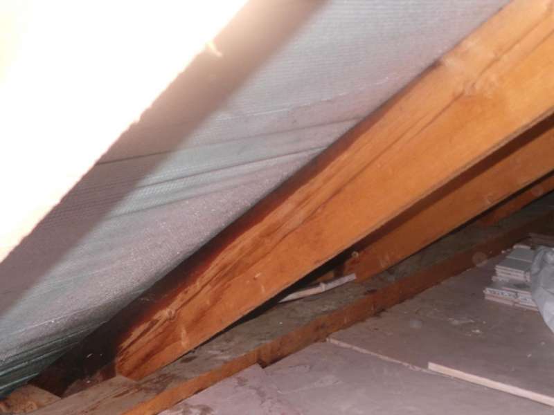 Bild zum Forumsbeitrag: Feuchtigkeit am Dachboden / Sanierung Dampfbremse