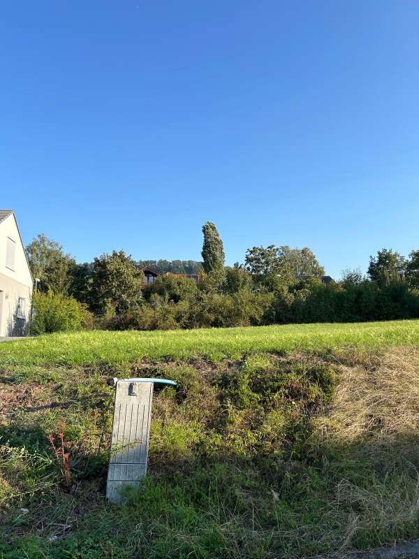 Bild zu Inserat-Nr. 1765914885