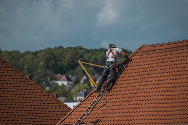 Frühzeitige Erkennung von Dachschäden durch professionelle Dachinspektion