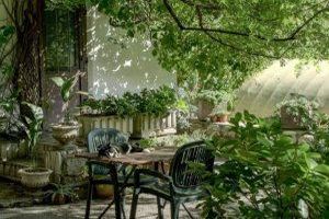 Die besten Ideen für einen Schattenplatz im Garten - Bild: Robin Wersich auf Unsplash