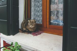 Ein Fensterbank-Konfigurator ist ein Online-Werkzeug, das es Kunden ermöglicht, Fensterbänke individuell nach ihren eigenen Wünschen und Anforderungen zu gestalten.