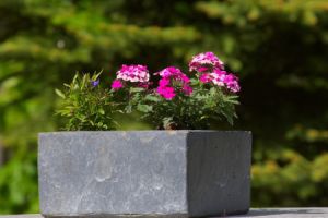 Ein Fiberglas-Kübel ist ein Pflanzbehälter oder eine Art Container, der aus Fiberglas hergestellt ist.