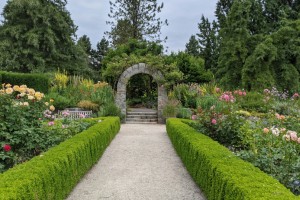 Gartengestaltung leicht gemacht - so sorgen Sie für eine angenehme Atmosphäre - Bild: Laurent Beique / Unsplash