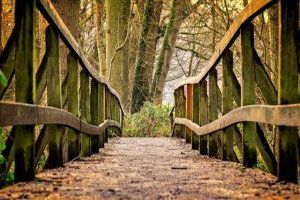 Ein Handlauf ist eine längliche Stange oder Schiene, die entlang von Treppen, Gehwegen oder anderen erhöhten Bereichen angebracht ist und als Stütze und Sicherheitsvorrichtung dient.