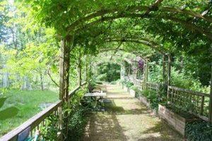 Pergola-Design bezieht sich auf die architektonische Gestaltung von Pergolen, freistehenden Gartenstrukturen mit offenen Dachflächen.