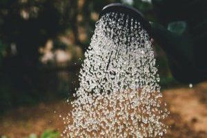 Die Wasserqualität bezieht sich auf den Zustand von Wasser in Bezug auf seine physikalischen, chemischen, biologischen und mikrobiologischen Eigenschaften.