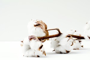Watte ist ein weiches, bauschiges Material, das hauptsächlich aus Baumwollfasern oder synthetischen Fasern besteht.
