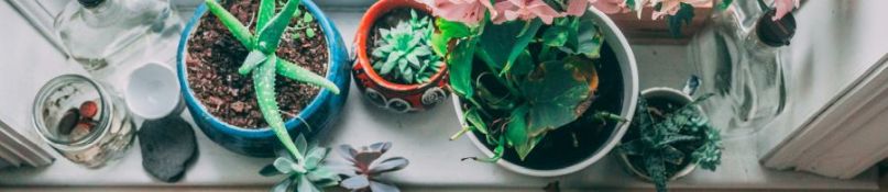 Alte Fenster modernisieren: Günstige Alternativen zur kompletten Erneuerung