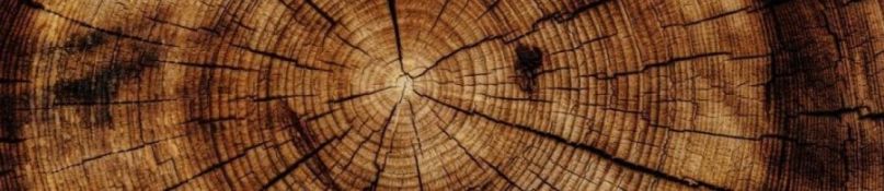 Holzöl