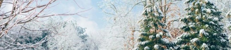 Überwinterung