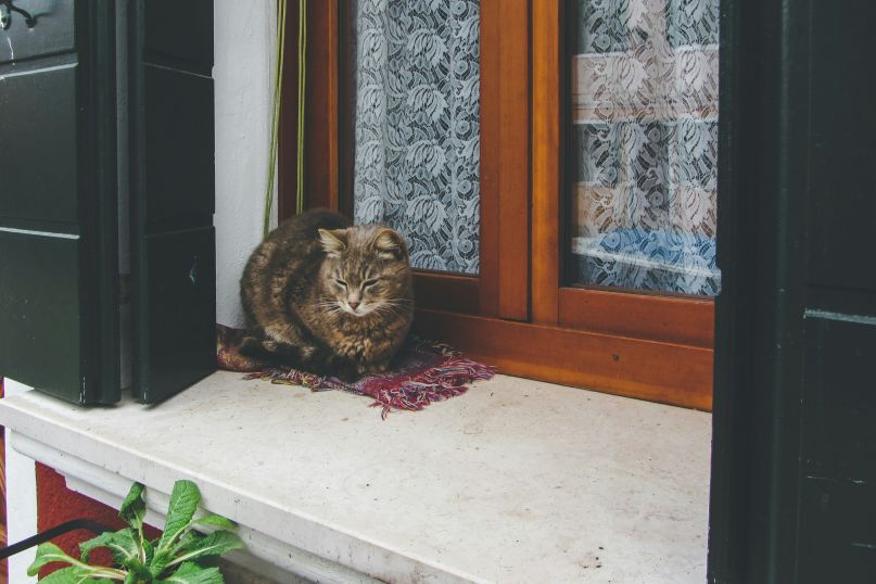 Ein Fensterbank-Konfigurator ist ein Online-Werkzeug, das es Kunden ermöglicht, Fensterbänke individuell nach ihren eigenen Wünschen und Anforderungen zu gestalten.