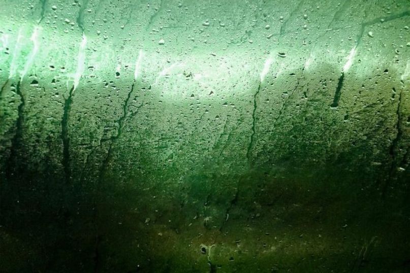 Ein Feuchtigkeitsschaden bezeichnet die Schäden an Gebäuden oder Bauteilen, die durch das Eindringen von Wasser oder erhöhter Feuchtigkeit entstehen.