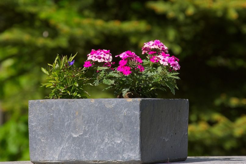 Ein Fiberglas-Kübel ist ein Pflanzbehälter oder eine Art Container, der aus Fiberglas hergestellt ist. Ein Fiberglas-Kübel ist ein Pflanzbehälter oder eine Art Container, der aus Fiberglas hergestellt ist.