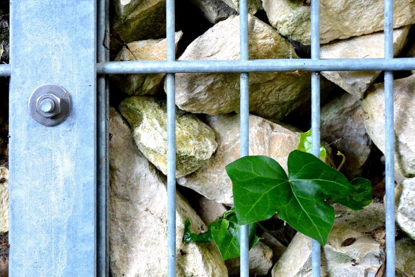 Ein Gabionenzaun besteht aus Gabionen, die Drahtk&ouml;rbe sind, die mit Steinen oder anderen Materialien gef&uuml;llt werden.