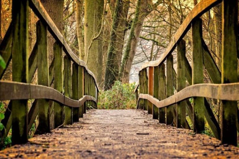 Ein Handlauf ist eine längliche Stange oder Schiene, die entlang von Treppen, Gehwegen oder anderen erhöhten Bereichen angebracht ist und als Stütze und Sicherheitsvorrichtung dient.