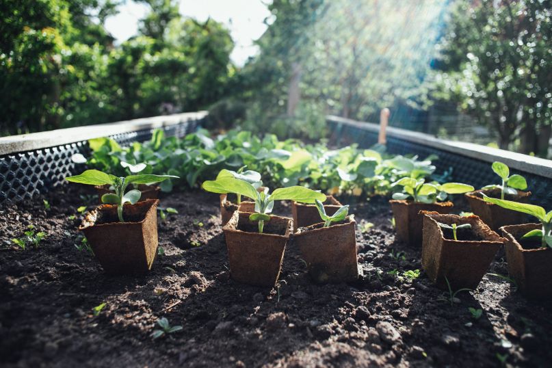 Ein Hochbeet ist eine erhöhte Gartenstruktur, die eine effiziente und ergonomische Methode des Gärtnerns ermöglicht.