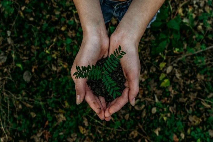 Ressourceneffizienz beschreibt die effiziente und schonende Nutzung von natürlichen Ressourcen, um die Umweltauswirkungen zu minimieren und den ökonomischen Nutzen zu maximieren.