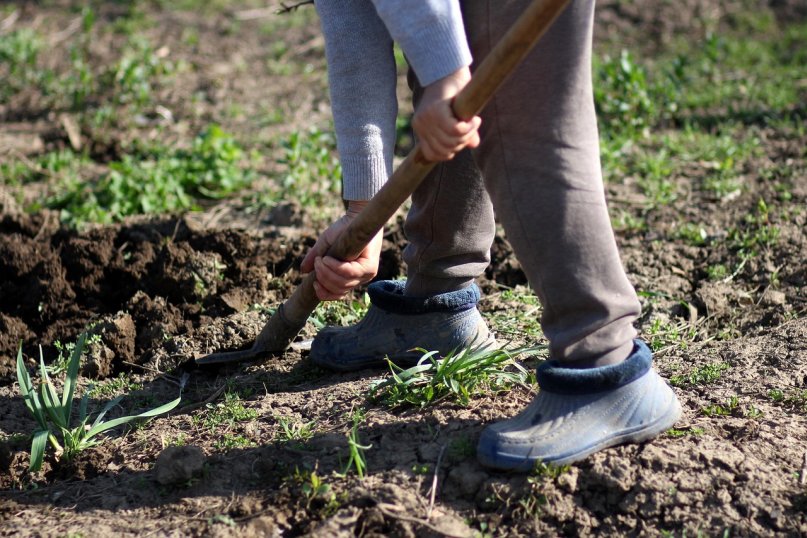 Ein Spaten ist ein vielseitiges Gartenwerkzeug zum Graben, Umgraben oder Bewegen von Erde, Sand oder Kies.
