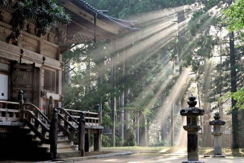 Der Sonneneinfall bezieht sich auf den Einfall von Sonnenlicht auf eine bestimmte Fläche oder in einen bestimmten Raum. Der Sonneneinfall bezieht sich auf den Einfall von Sonnenlicht auf eine bestimmte Fläche oder in einen bestimmten Raum.